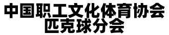 中国职工文化体育协会匹克球分会