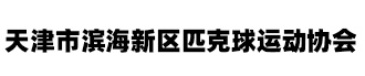 天津市滨海新区匹克球运动协会