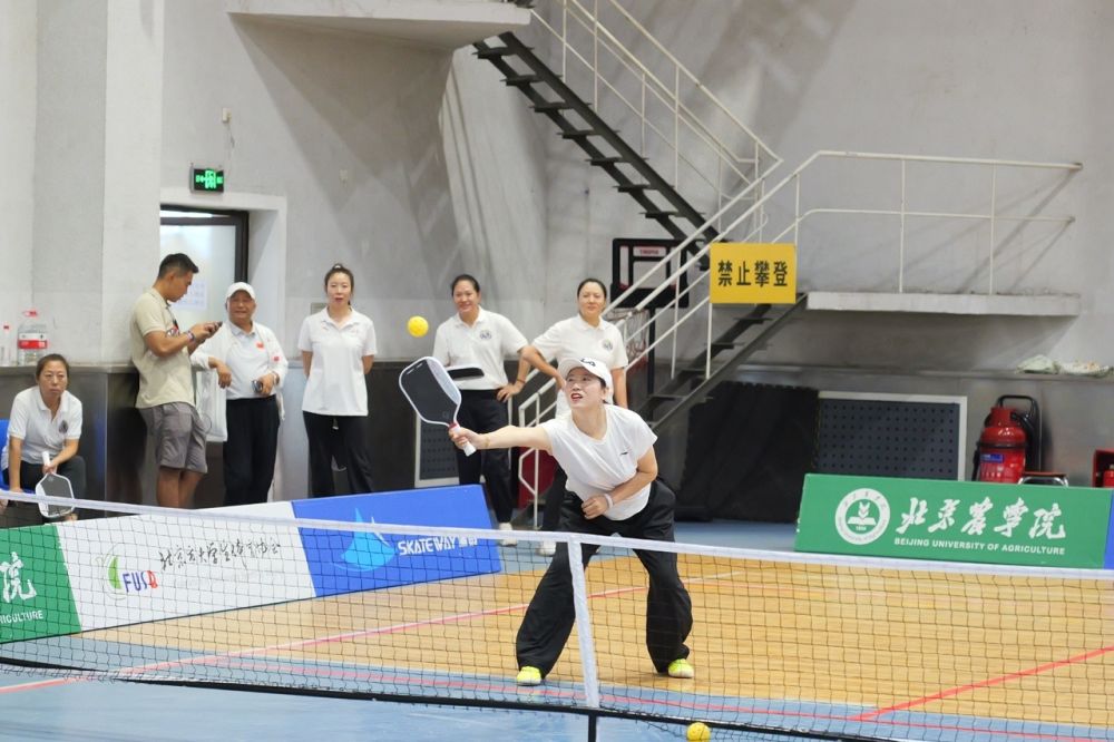 跋山涉水，他们为匹克球而来-全国首届匹克球技能等级测评员培训班